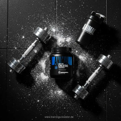 Animal Creatine Pulver mit Hanteln und Shaker für Fitness und Muskelaufbau