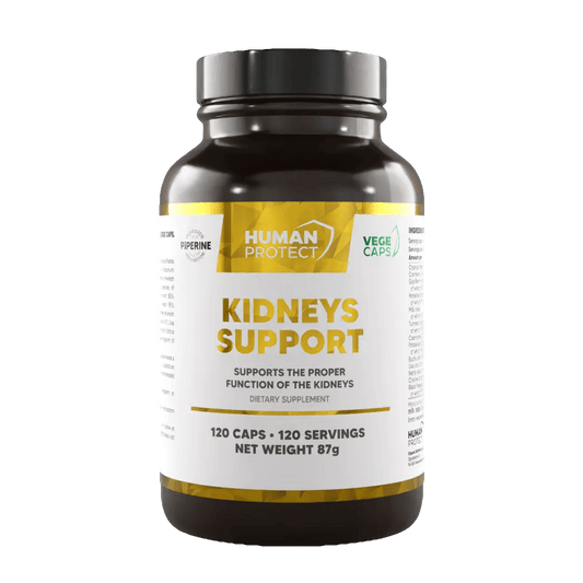 Kidneys Support 120 Kaps. - trainings-booster.de