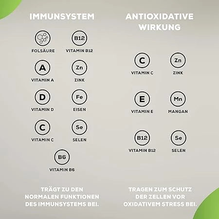 Infografik zu Vitaminen und Mineralstoffen für Immunsystem und antioxidative Wirkung.